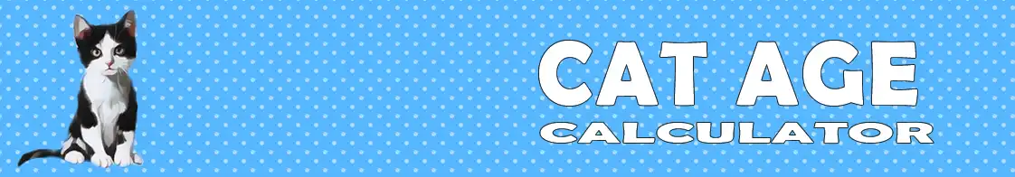 age-calculator