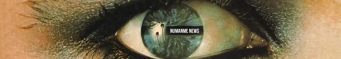 Gary Numan News